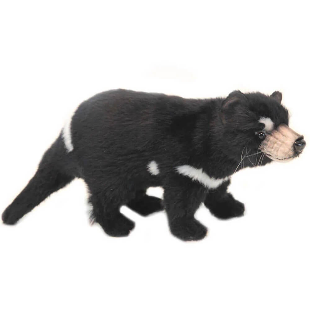 Hansa Tasmanischer Teufel