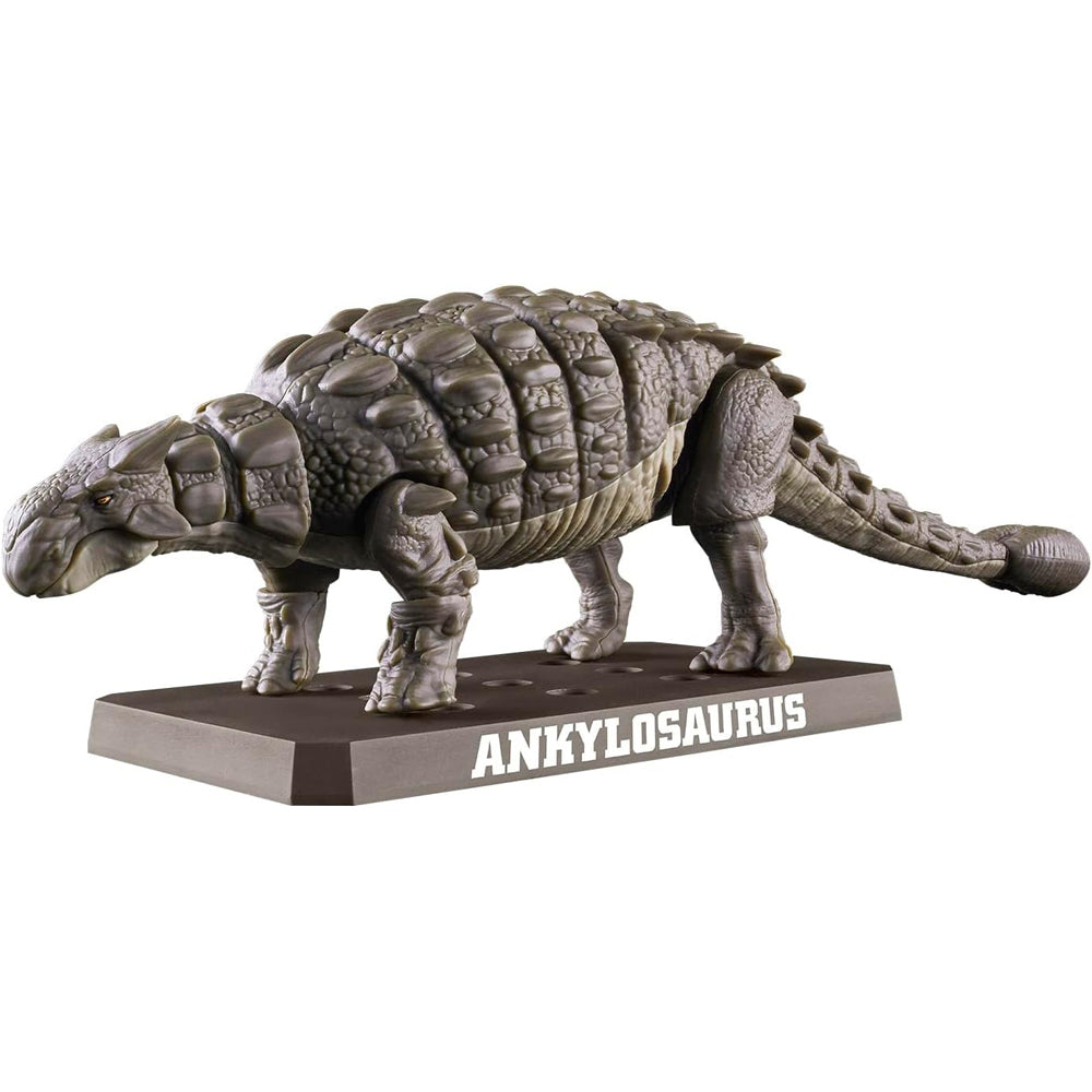 Plannosaurus Ankylosaurus Model