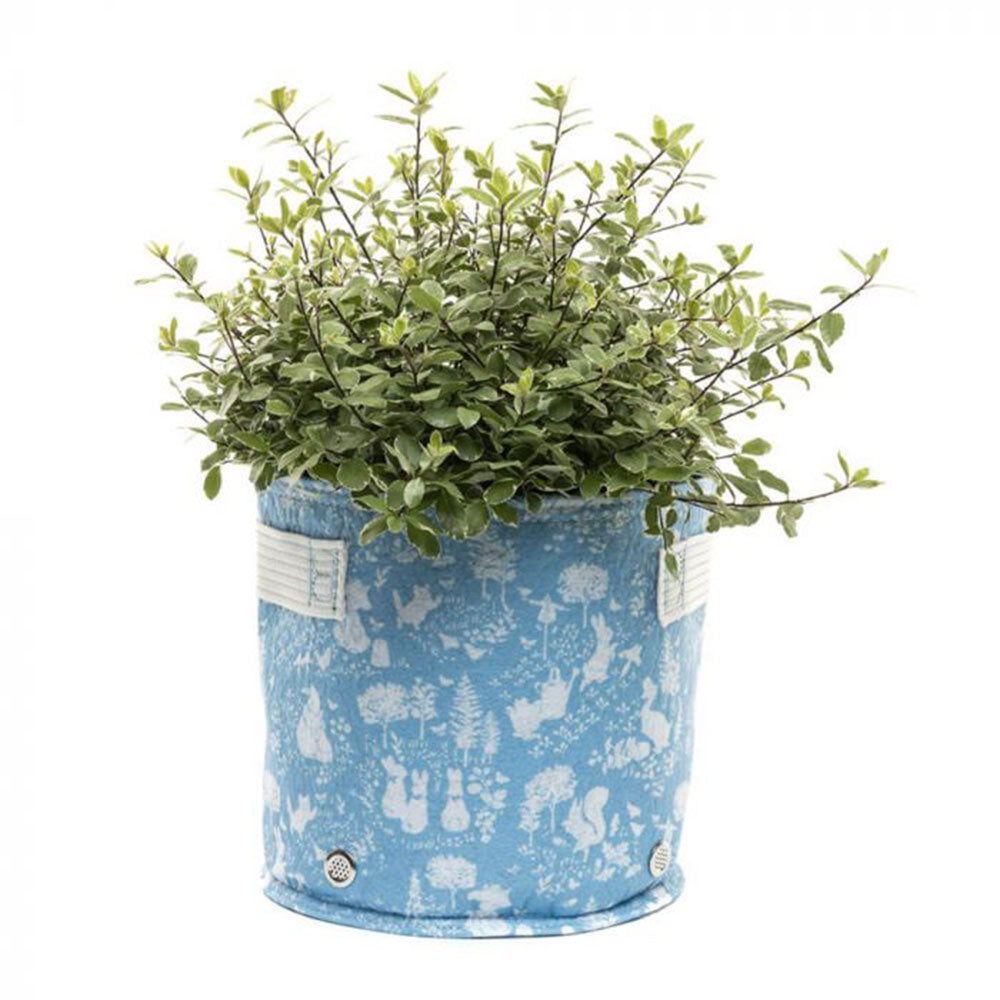 Beatrix Potter Fabric Eco-Pot (niebieski)
