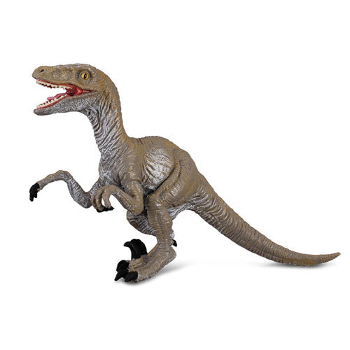 CollectA Velociraptor Dinosaur Figure