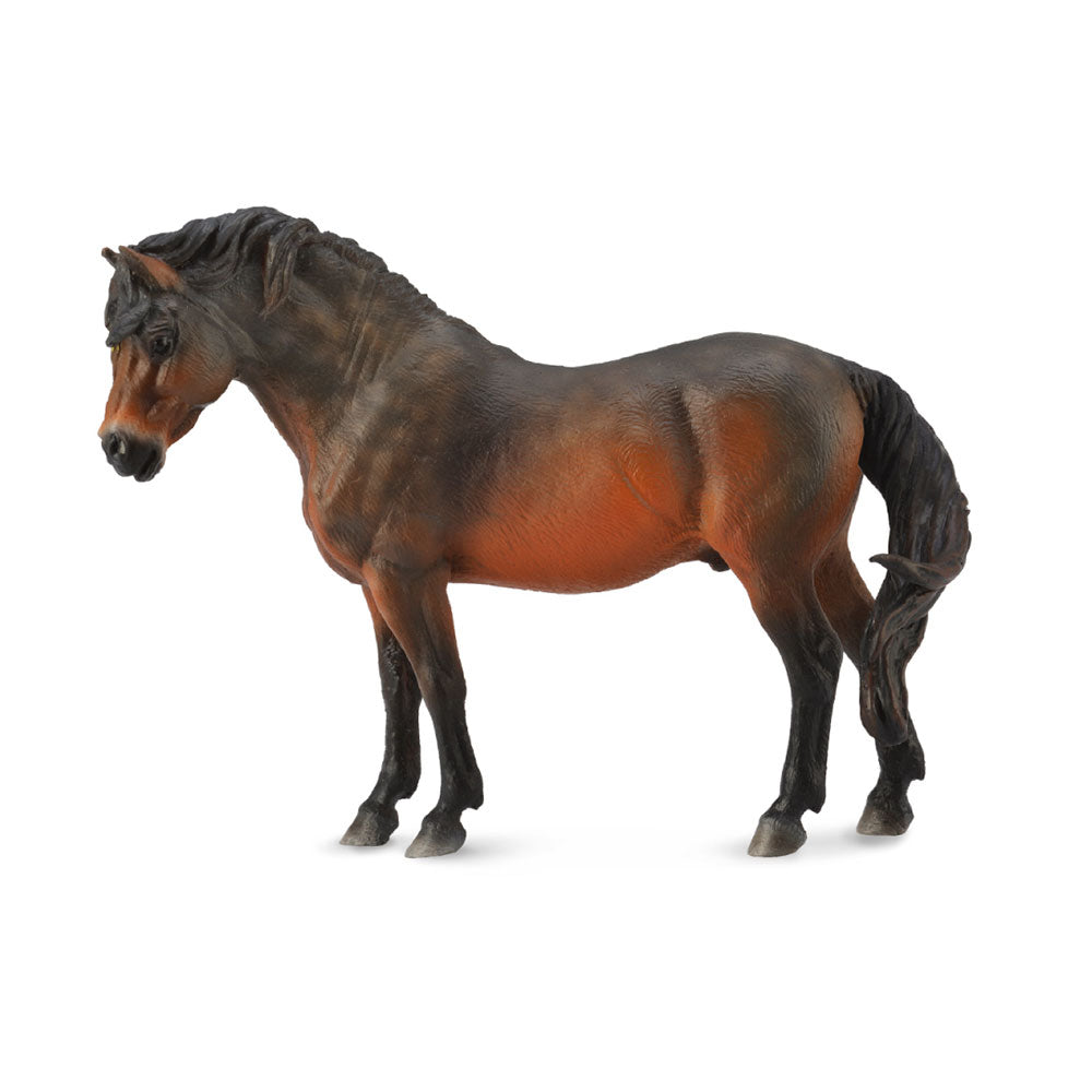 Collecta Dartmoor Horse Bayフィギュア(大)