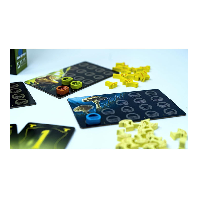 Wonder Woods Board Game